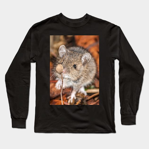 Wood Mouse on Woodland Floor Photo Long Sleeve T-Shirt by CreativeNatureM